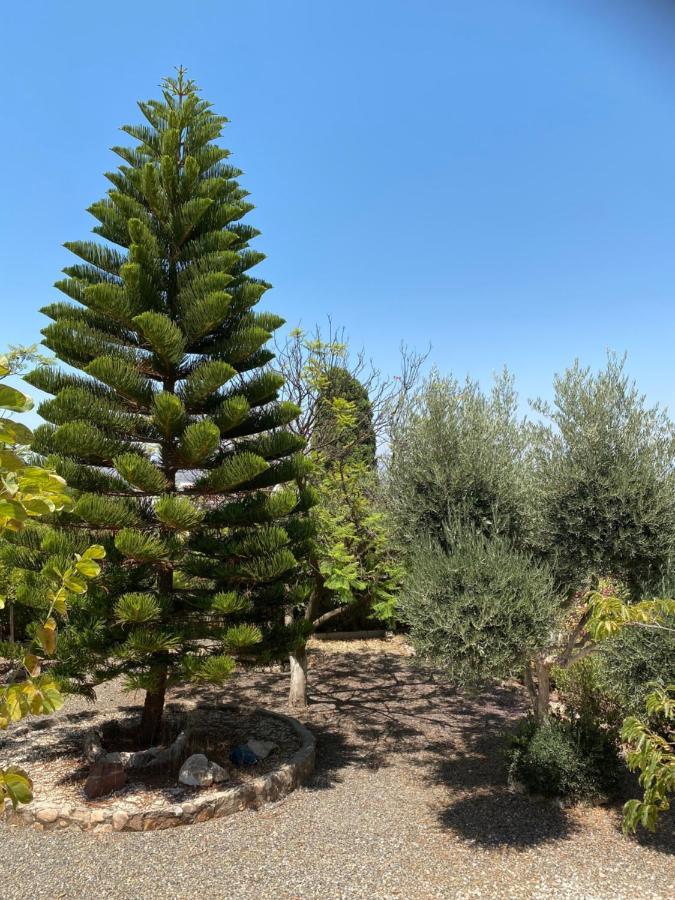 B&B Casa Oceo - Malaga - Andalusie Alhaurín de la Torre Esterno foto
