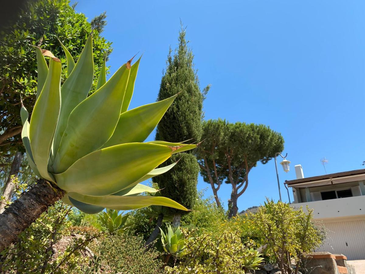 B&B Casa Oceo - Malaga - Andalusie Alhaurín de la Torre Esterno foto