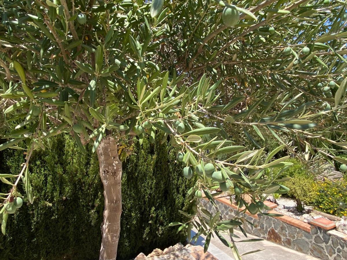 B&B Casa Oceo - Malaga - Andalusie Alhaurín de la Torre Esterno foto